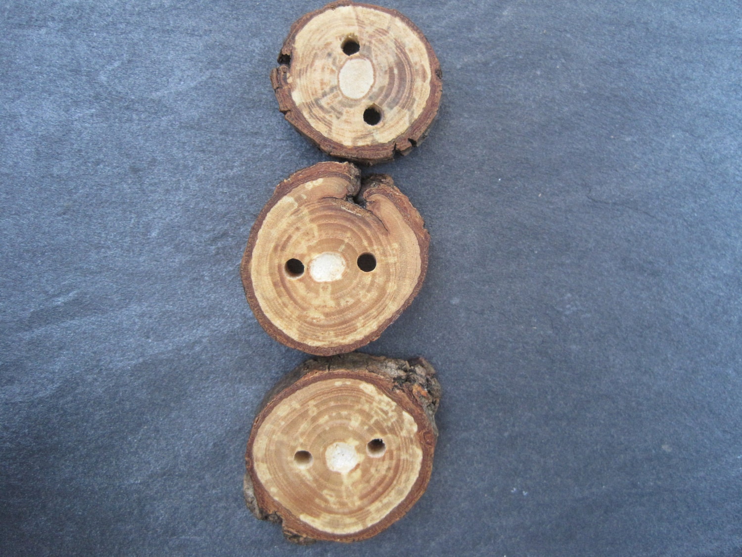 Trio of Wooden Buttons Nature Inspired Wood Tree Branch Buttons for Knitting, Crochet, Journals, Totes and Clothing (Set of 3)