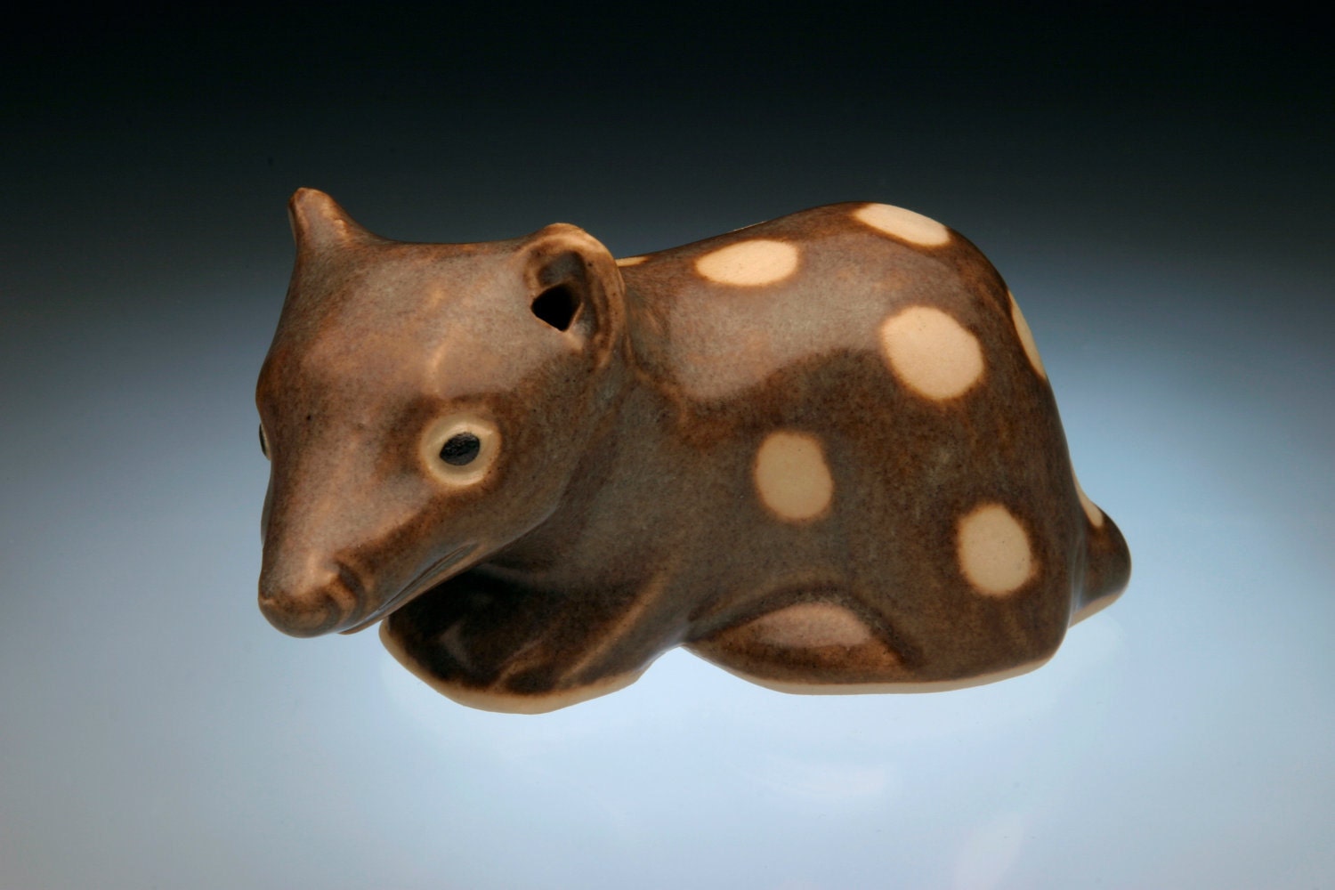A Spotted Tailed Quoll, first cousin to the Tasmanian Devil