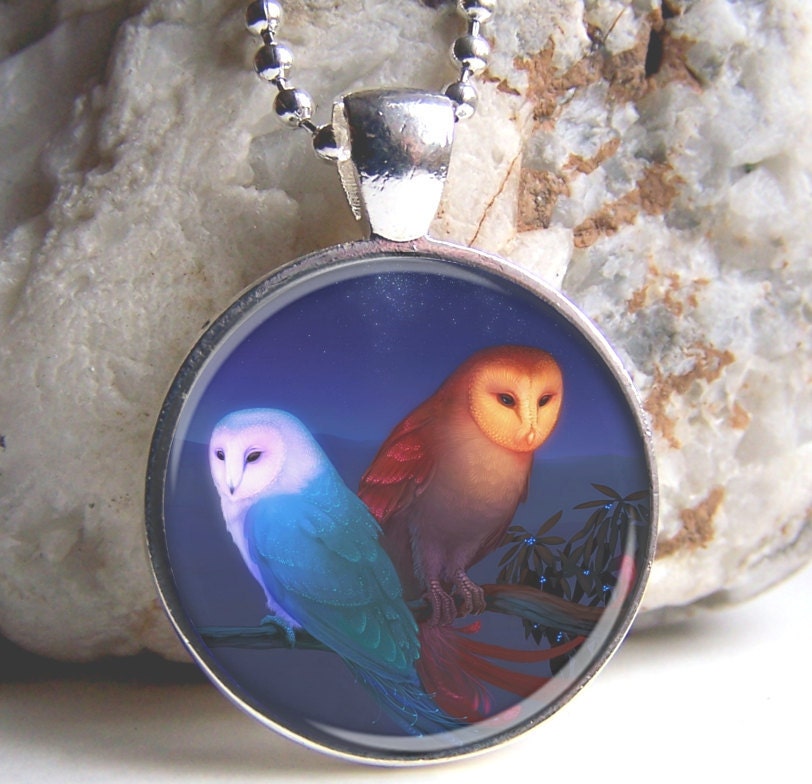 Owl Art Pendant, Owls, Photo Pendant, Silver and Glass