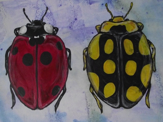 Drawing Of Beetles