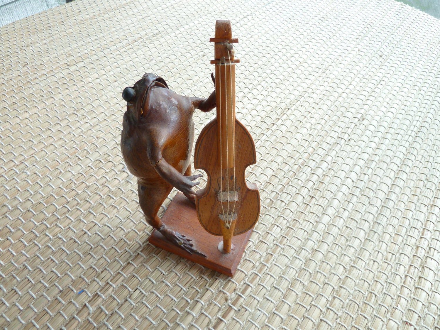 Stuffed Taxidermy frog from Mexico playing instrument, upright bass.