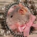 Taxidermy Mouse Cameo Style Necklace in Dusty Grey & Pink