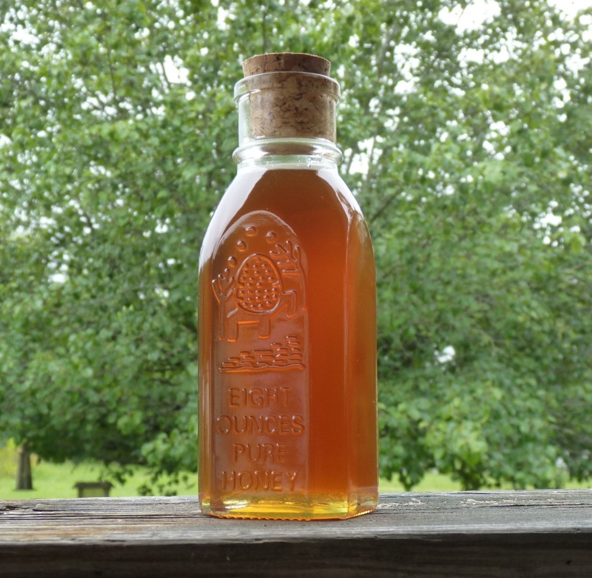 Raw Wildflower Honey, Tennessee Wildflower 1/2 lb Antique Style Jar Raw Pure Honey, 8oz Honey
