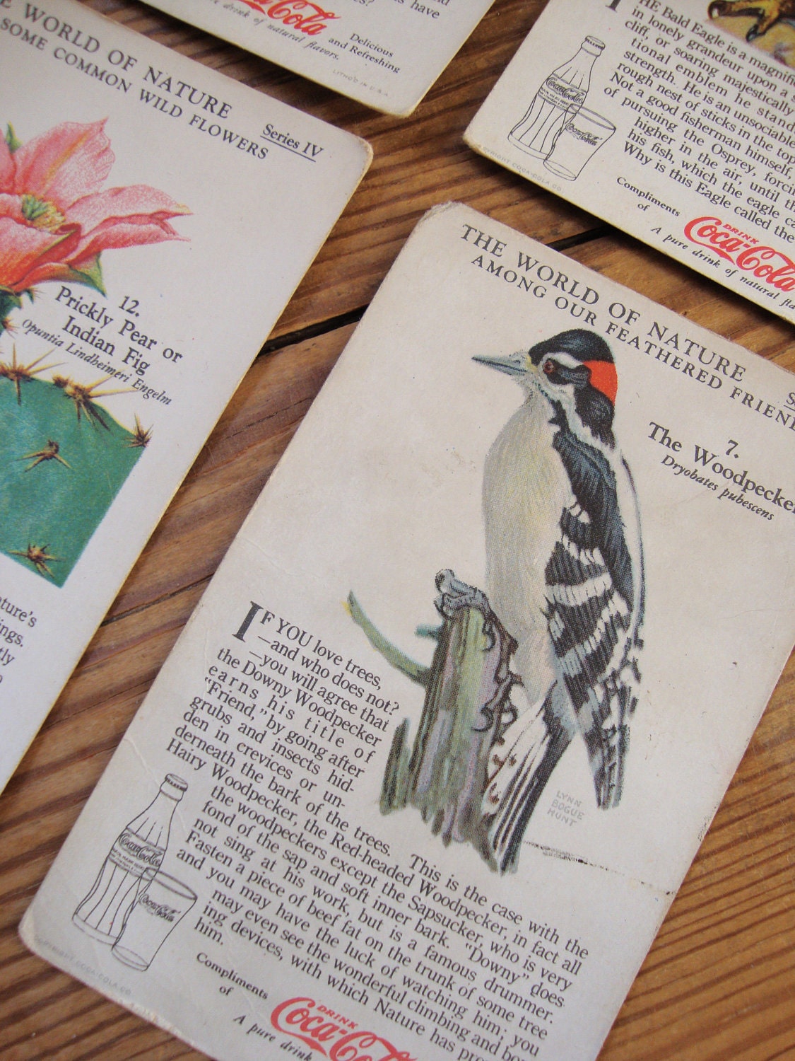 Vintage Cards lot 6 Coca Cola Collectors Ephemera litho photo Natural Science