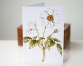 Blank Note Cards, 5 Pack, Anemone Japonica