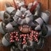 Alabama Crimson Tide deco mesh wreath