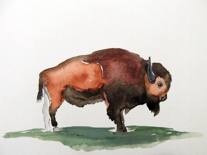 Original Watercolor Painting Bison By Jasonjvilleneuve On Etsy