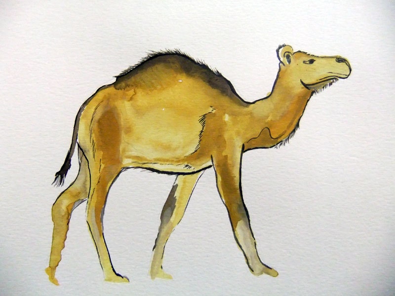 Original Watercolor Painting-Camel