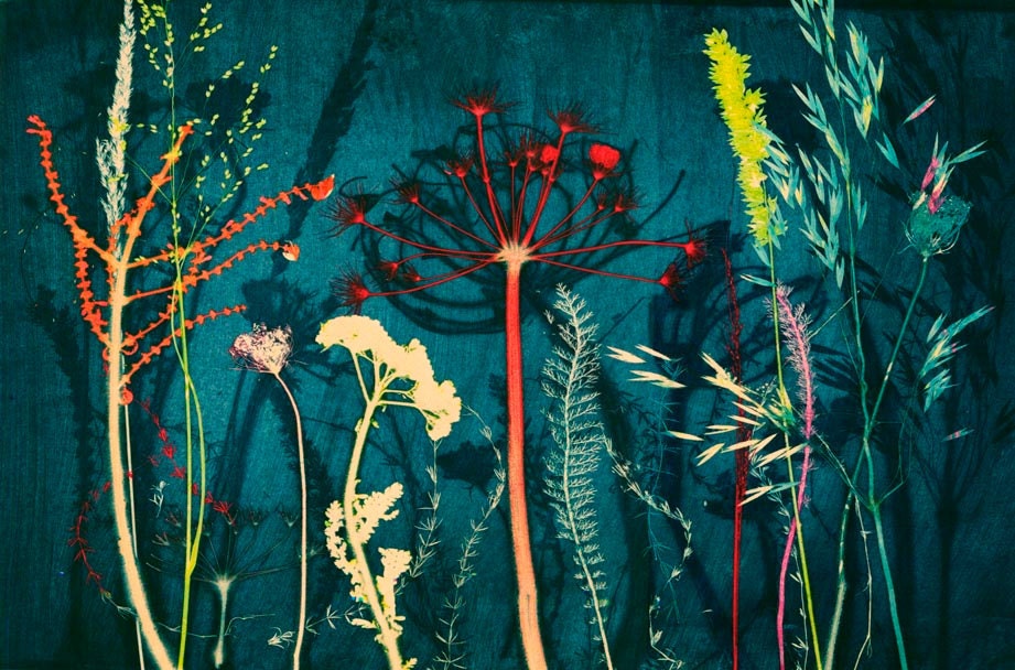 Spirited Colours (reproduction)