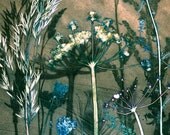 Parsley Shadow (reproduction)