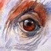 Orangutan Eye Watercolour ACEO Original Painting