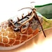 custom painted giraffe sneakers multi color child's size 3
