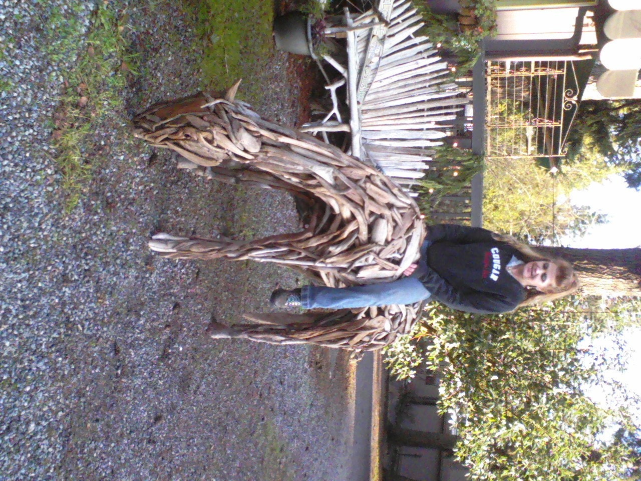 horse sculpture made from several hundred pieces of driftwood