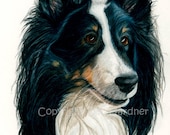 Sheltie Dog Art Print: Fine Art Giclee Signed by Deb Gardner - 8x10