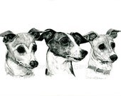 Italian Greyound Dog Art Print: Tre Amici Fine Art Giclee Signed by Deb Gardner - 8x10