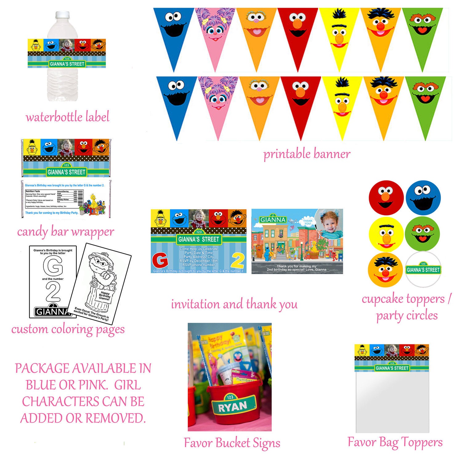 Sesame Street Birthday Package