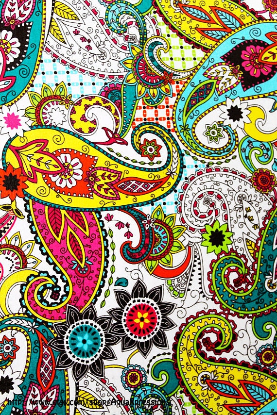 Fabric Wall Canvas Paisley Print /Colorful /Picture Art /Fun & Funky /Gift Ideas Under 20, 25, 30 /Spring Sale