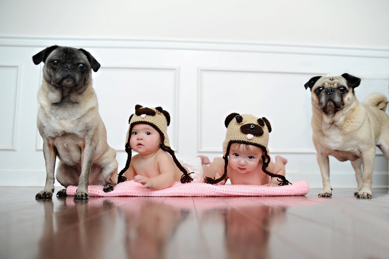 Pug Hat - Infant/Toddler Size