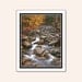 Photographic Art Print - "Woodland Stream" 16x20 Poster - Adirondack Mountains