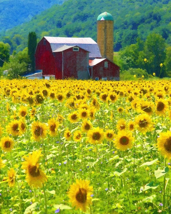 Jigsaw Puzzle "Sunflower Barn" 16x20 500 pieces