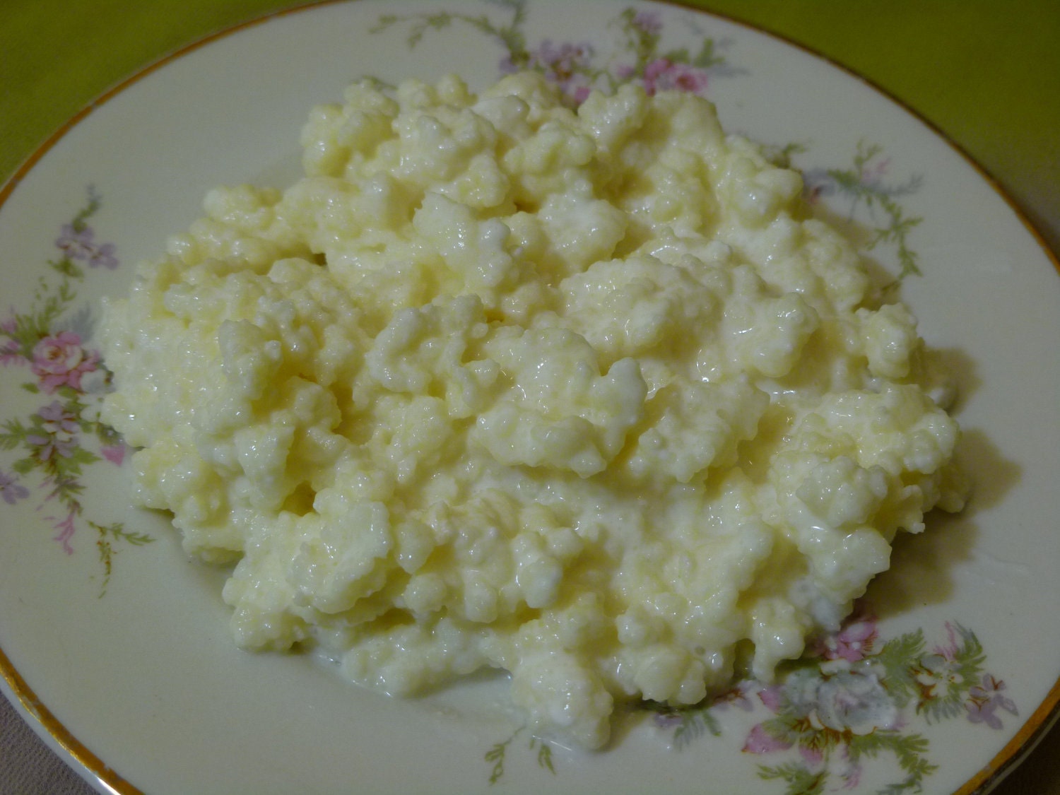 Fast Growing Milk Kefir Grains - kefir grains rich in probiotics.