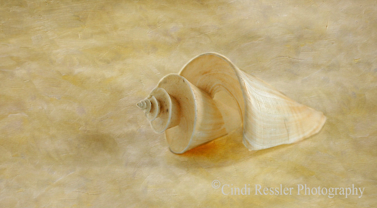 Unavailable Listing on Etsy