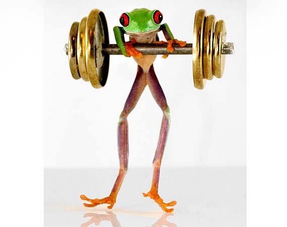 Workout, Barbells and Frog, LIVE Tree Frog