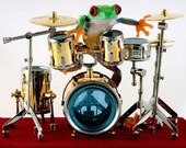Drummer Frog Drum Photo, 8x10 Wall Art Print