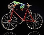 Bicycle Art, Frog Riding Bike, Cycling with Live Frog 8x10