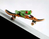 Skateboard - LIVE Frog - Skateboard Art - Children's Wall Art - Skateboard