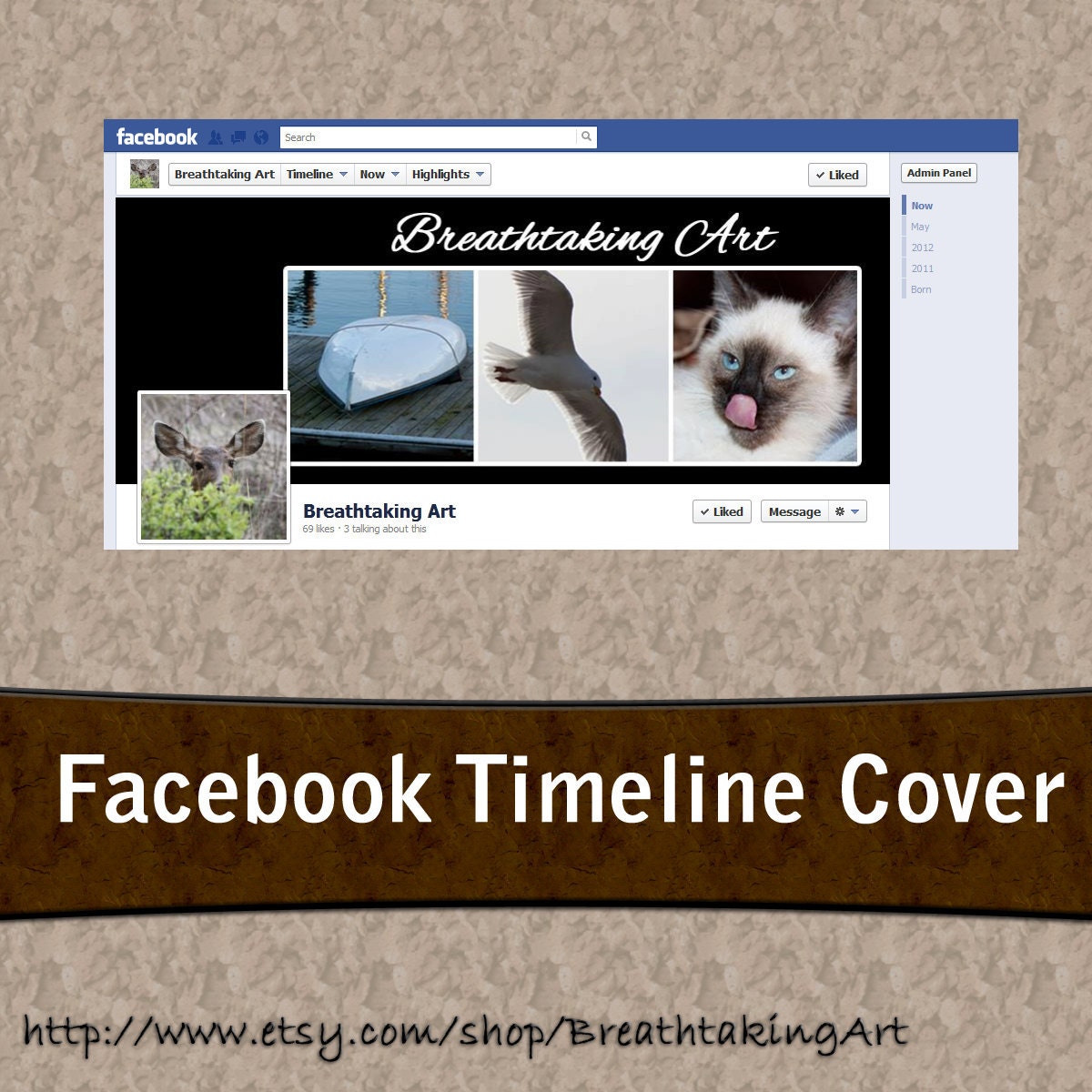 Frames Pre-made Facebook Timeline Banner Cover