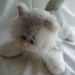 So Sweet Large Pound Purries Grey Cat