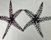 Starfish Papercut - Original Seastar Artwork