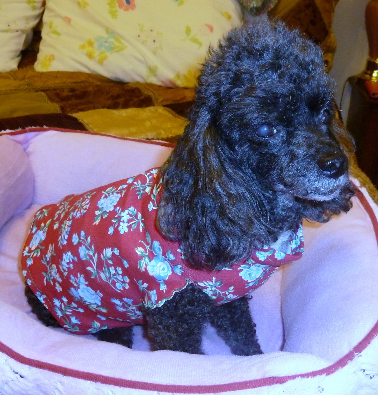 Puppy T-Shirt, Yorkie Dress, Chihuaha Dress, Poodle Shirt, Pet Dress, Pet Clothing