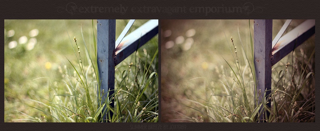 Photoshop Action - Summer Breeze