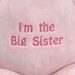 Adorable Soft Plush Bunny Custom Embroidered Monogram