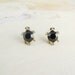 black turtle earrings