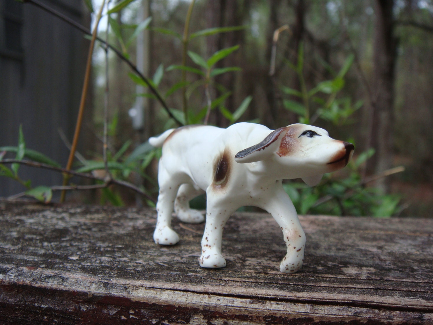 Vintage miniature dog-pointer