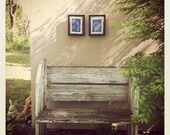 japanese maple sunprints // set of 2 // royal blue on pure white linen // unfinished edges // floating glass frames