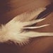 Dream Catcher - Black and White Harmony - With Natural Black and White Feathers and Black and White Nett - Home Decor, Mobile