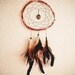 Dream Catcher - Peace with the Nature - With Wood Peace Pendant, Natural Feathers, Hand Painted Brown Frame and Nett - Home Decor, Mobile