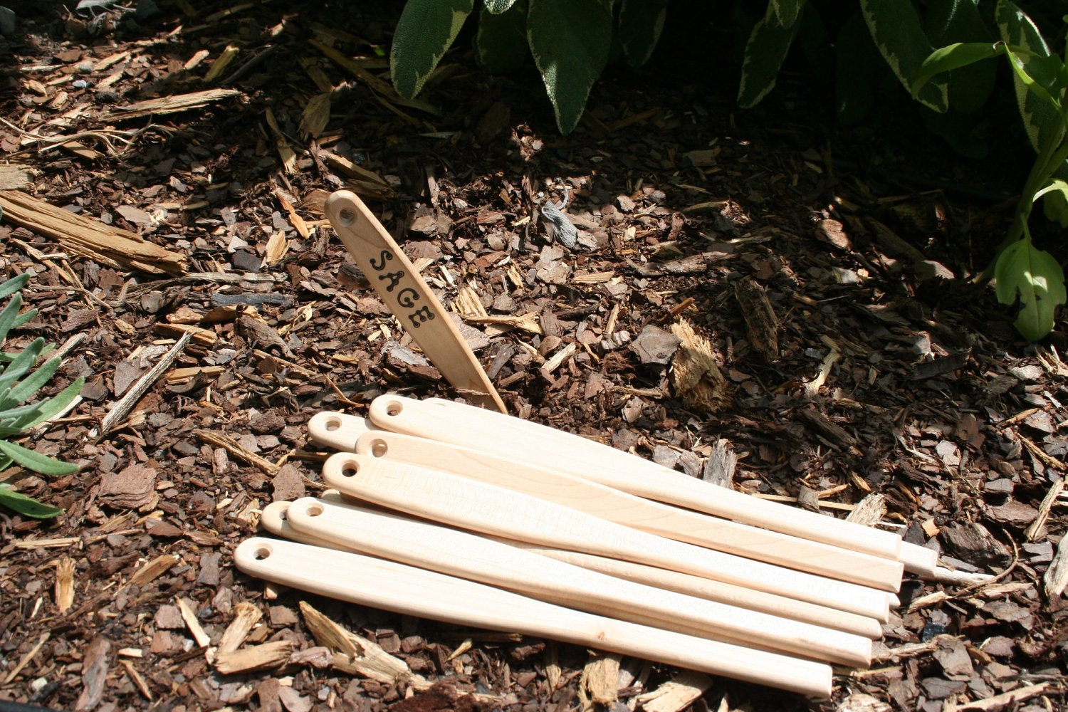 Plant Markers Herbs Garden Signs - Hardwood Maple, Unfinished, DIY - Set of 10