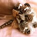 Rustic bridal bouquet pine cone fall forest winter alternative wedding