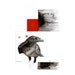 Watercolor Painting Original Black crow