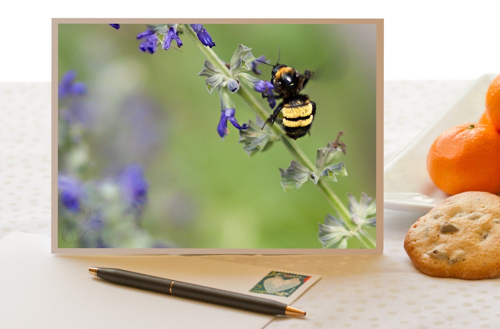 Blank Greeting Card - Bumble Bee and Mealy Blue Sage