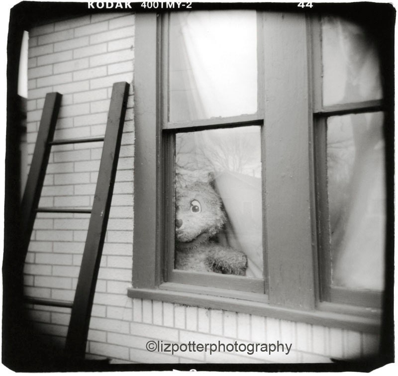 Black and White Holga photograph- Teddy Bear