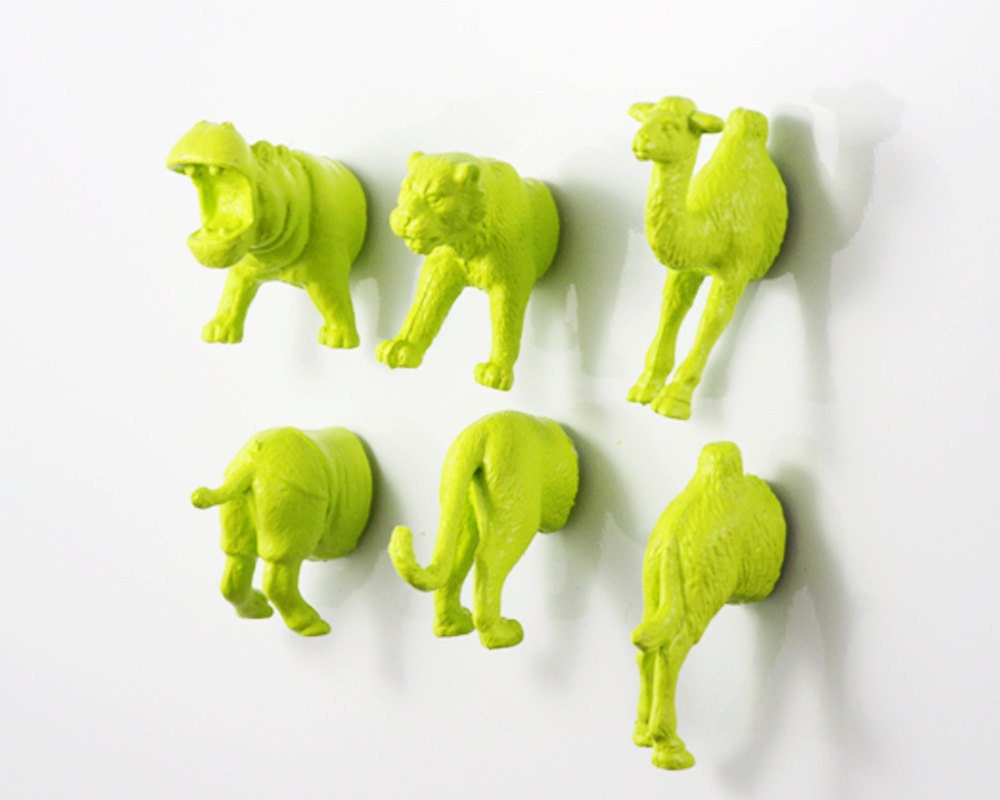 Grad Gift MAGNETS: Safari Jungle Animal - Tiger - Hippo - Camel - 6 piece set -  Magnet set