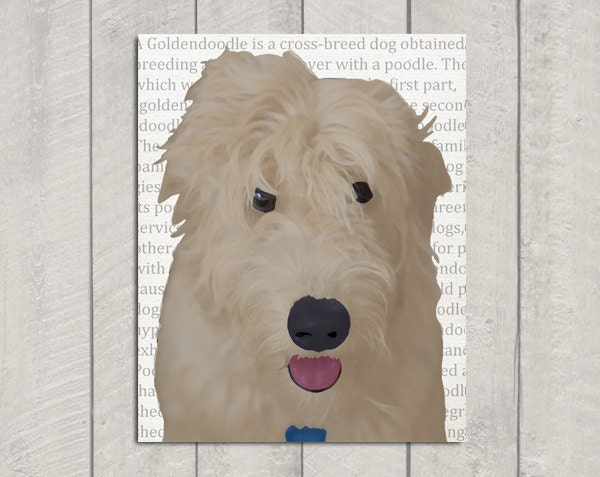 Goldendoodle Art Print - Dog Art - 8x10
