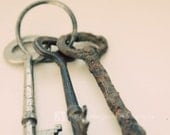 Vintage Skeleton Keys on a Ring - Fine Art Photography - 5 x 7 print - Home Decor - Secret Passageway Escape - "Skeleton Keys"