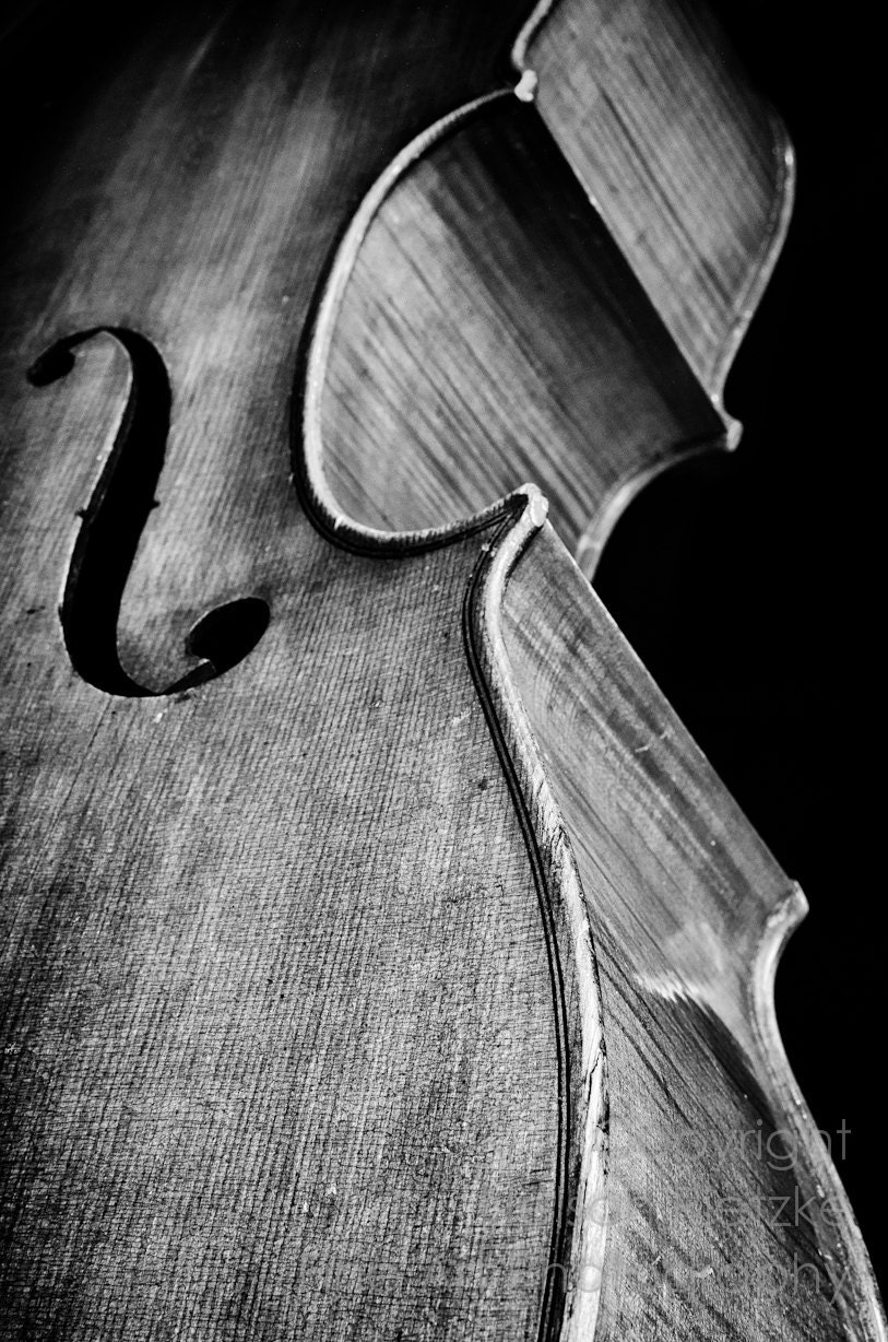 8 X 12 Black and White Fine Art Photography Print, Cello - NelsonRietzke